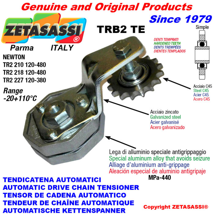 ZETASASSI TRB2227AC58STE Automatic arm chain tensioner