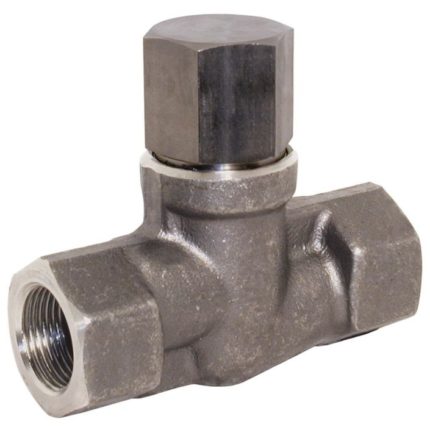 END-Armaturen AH410025 High-pressure non-return valve 1"