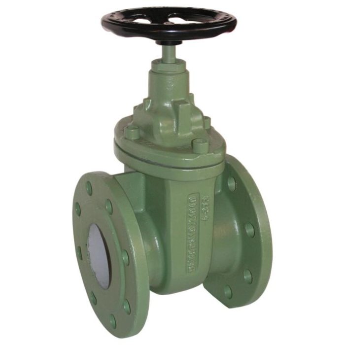 END-Armaturen CA501407 Gate valve DN50