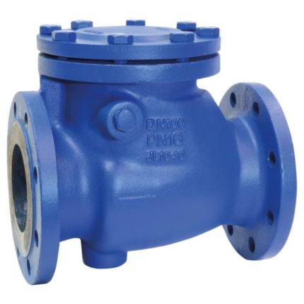 END-Armaturen CK500006 Check valve DN40