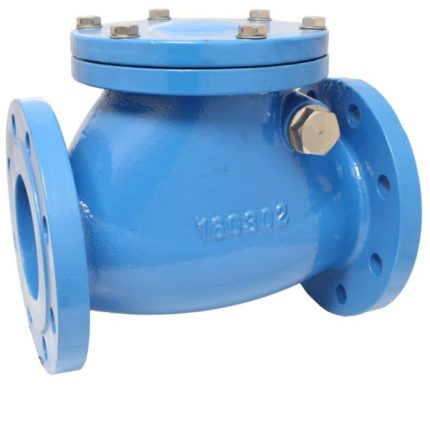 END-Armaturen SCV-GGG-EPDM-065 Swing-check valve DN65