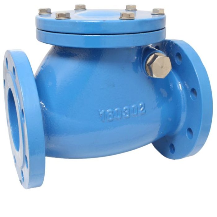 END-Armaturen SCV-GGG-NBR-100 Swing-check valve DN100