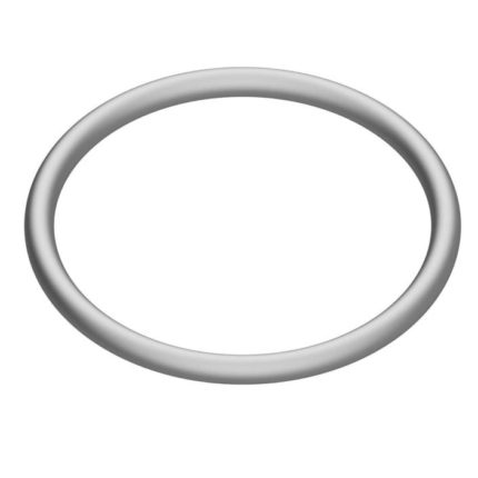 END-Armaturen STS-OR-NBR-100 Body gasket for strainer STE