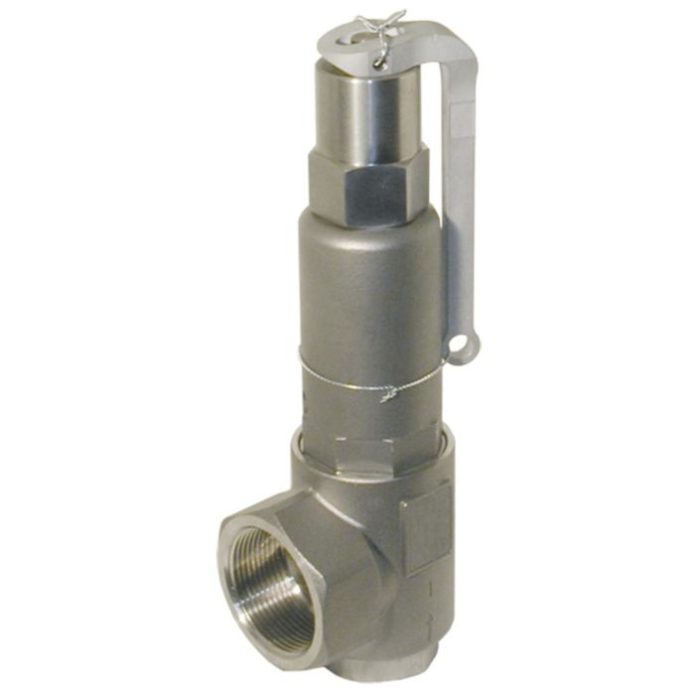 END-Armaturen SV310023/L Safety valve