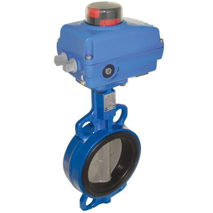 END-Armaturen WA534607-NE054100 Butterfly valve-WA